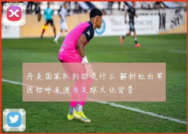 丹麦国家队别称是什么 解析红白军团称呼来源与足球文化背景