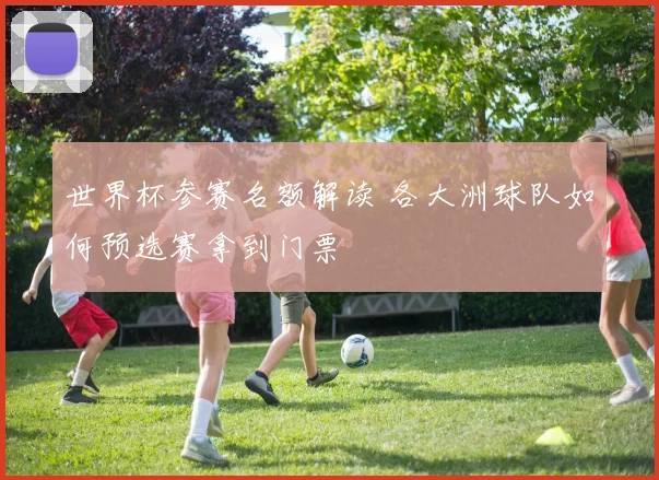 世界杯参赛名额解读 各大洲球队如何预选赛拿到门票