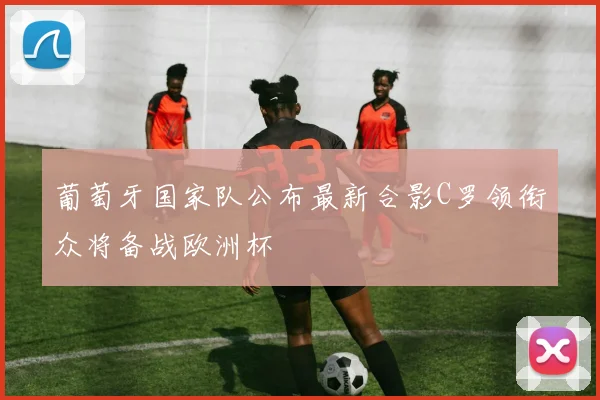 葡萄牙国家队公布最新合影C罗领衔众将备战欧洲杯