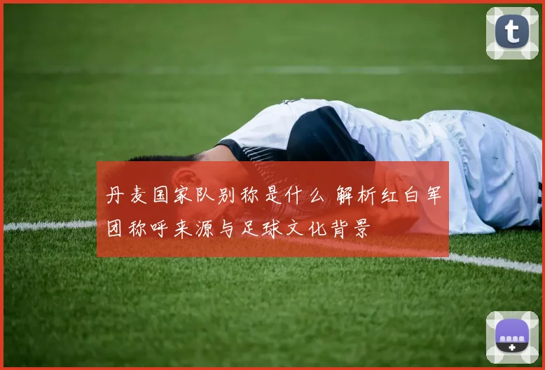 丹麦国家队别称是什么 解析红白军团称呼来源与足球文化背景