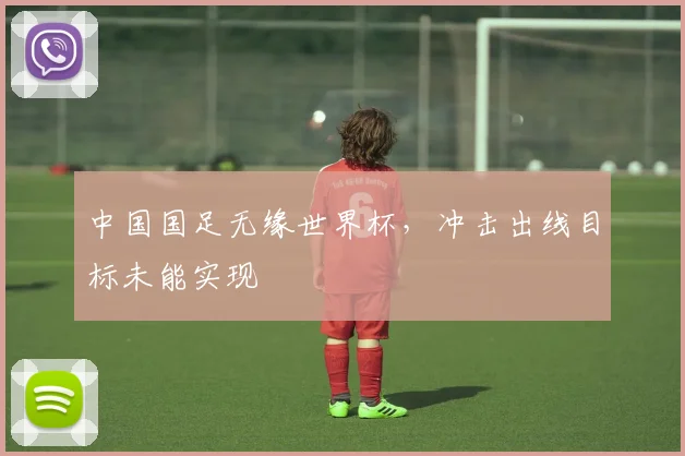 中国国足无缘世界杯，冲击出线目标未能实现