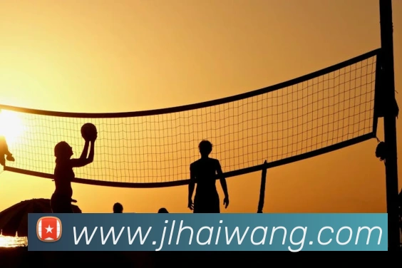 开云app官方入口网页版发展历程